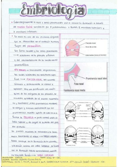 Embriología 