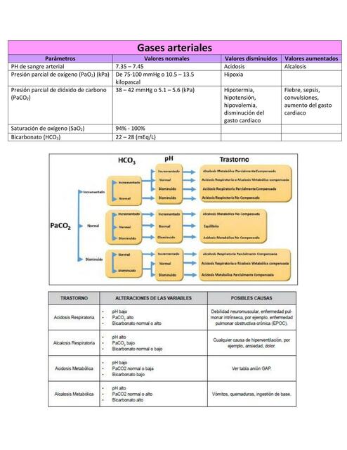 Gases arteriales