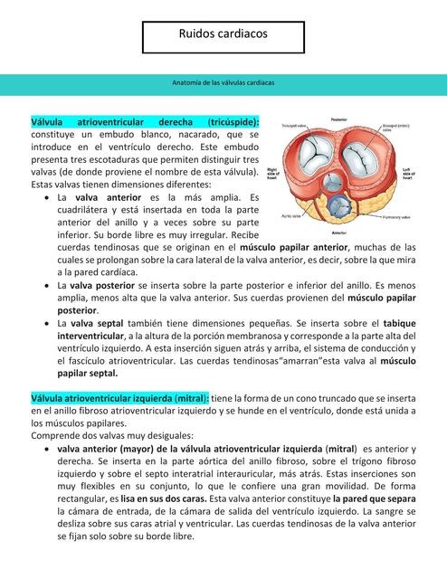 Ruidos Cardiacos