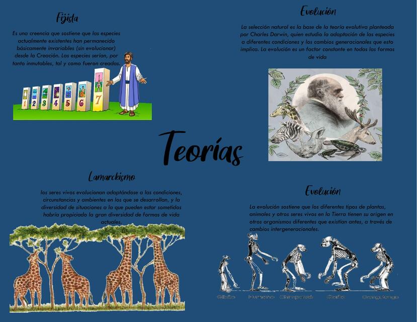 Mapa Conceptual De Las Teorías De Evolución Marissa Vianey Gonzalez