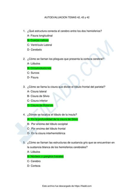 Autoevaluación Anatomía