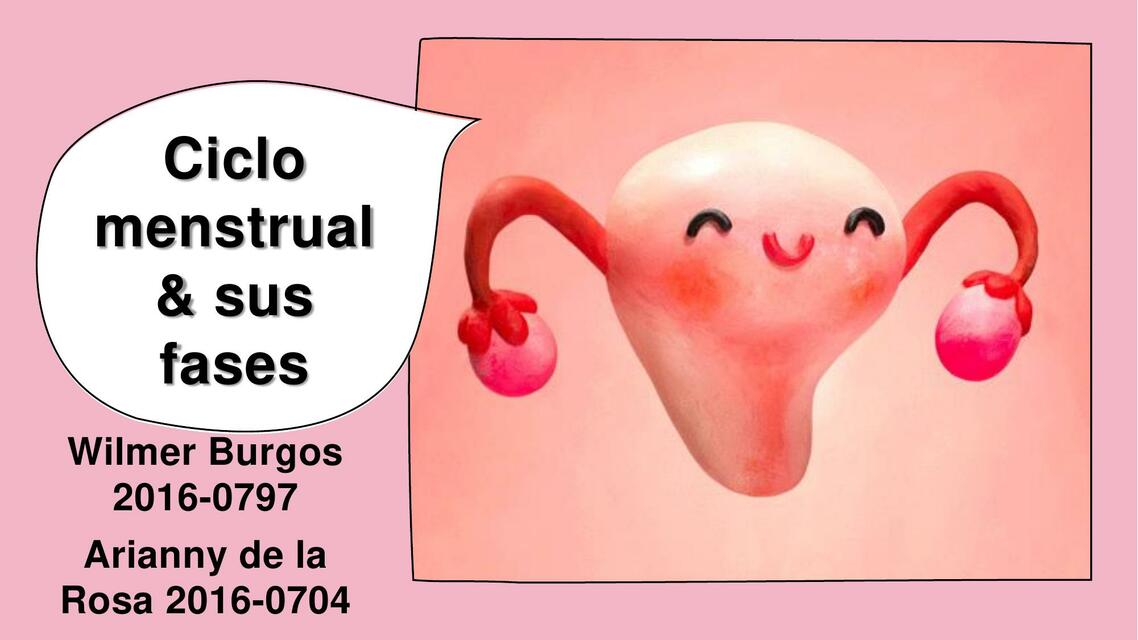 Ciclo Menstrual y sus Fases 