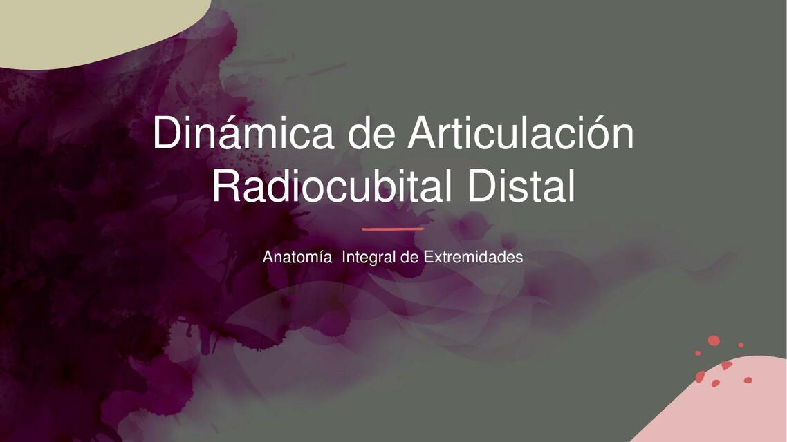 Dinámica de Articulación Radiocubital Distal