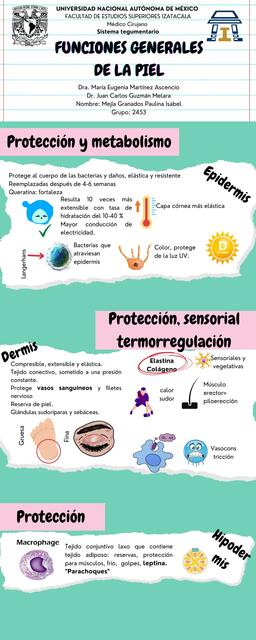 Funciones Generales de la Piel