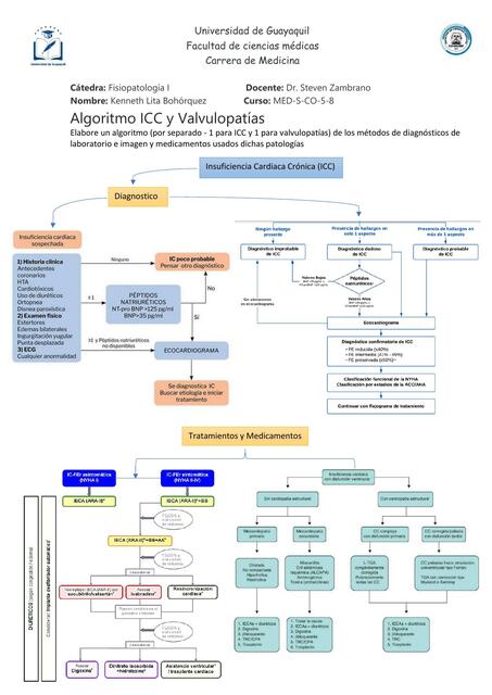 Algoritmo ICC y Valvulopatías 