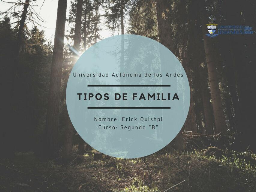 Tipos de Familias