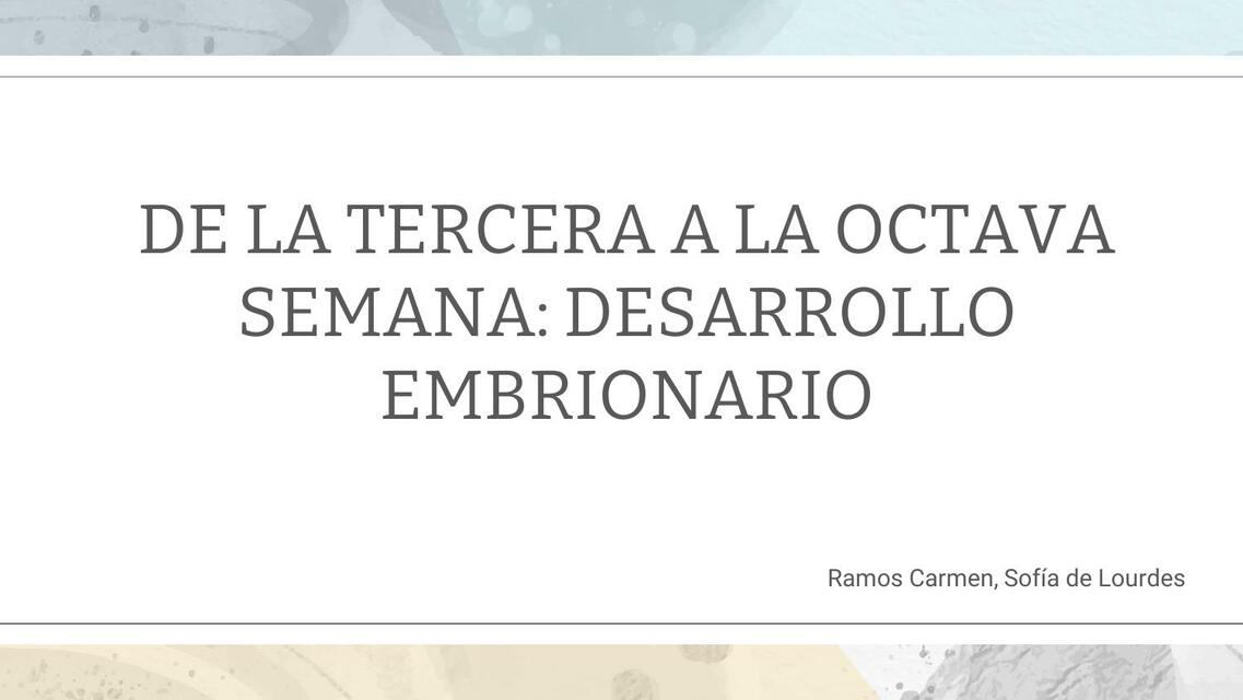 De la Tercera a la Octava Semana el Desarrollo Embrionario