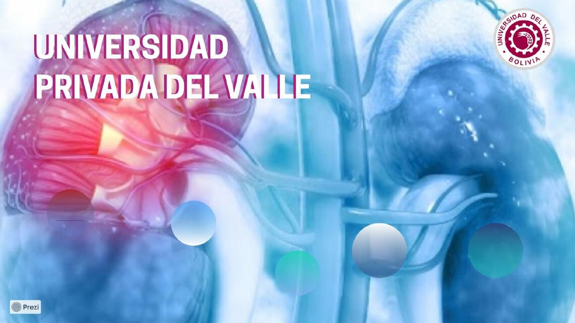 Insuficiencia Renal