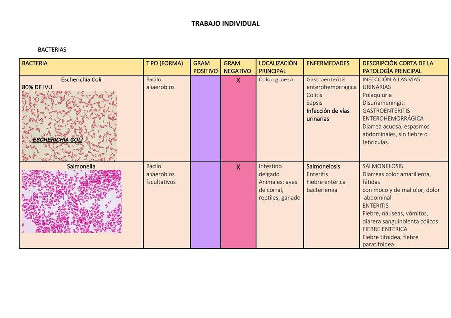 Clasificación de la Bacterias