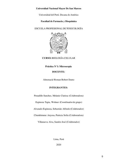 Informe de Práctica-Microscopía 