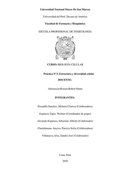 Informe de Práctica-Estructura y Diversidad Celular