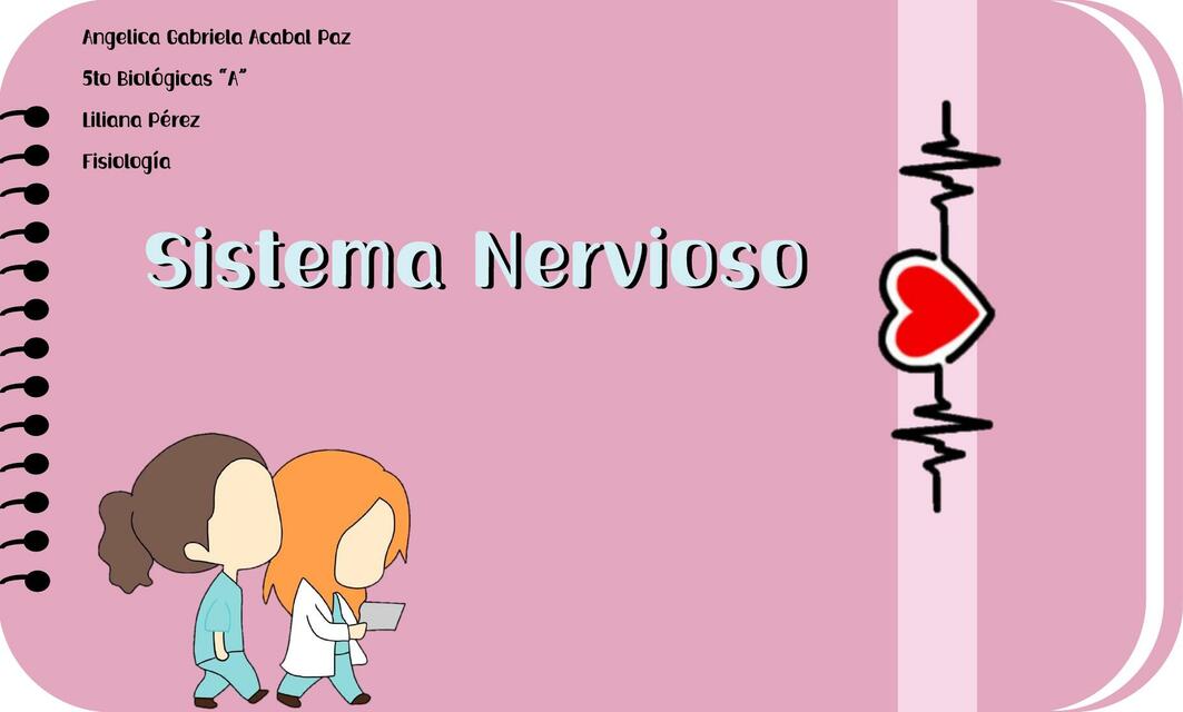 Sistema Nervioso