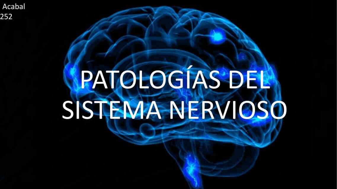 Sistema Nervioso y las Patologías