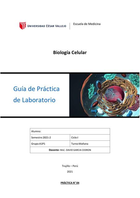 Aparato de Golgi y Lisosomas 