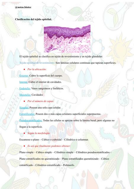 Histología de los Tejidos 