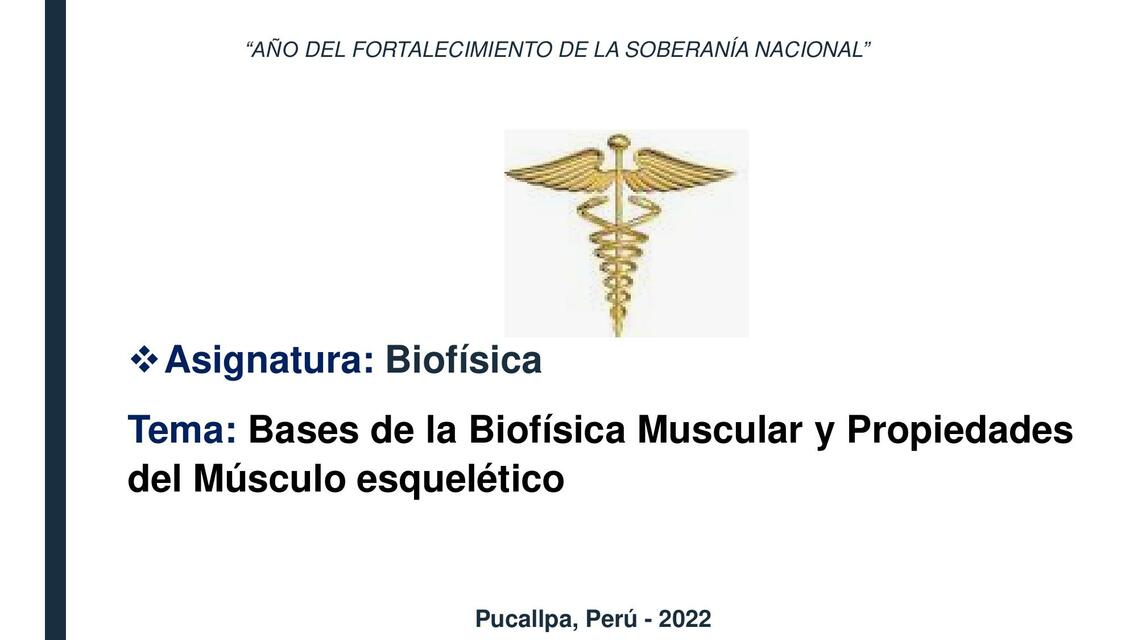 Musculo Esquelético 