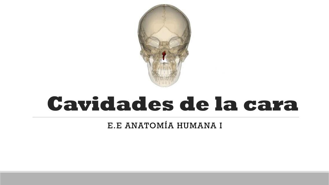 Cavidades de la Cara