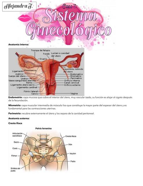 Semiología sistema ginecológico