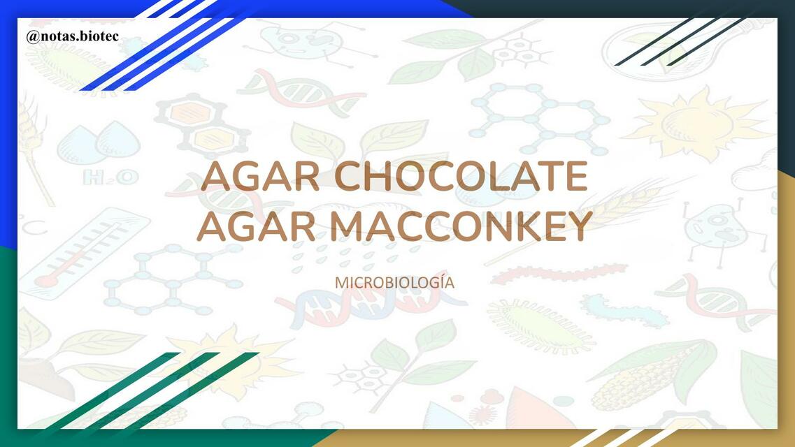 Agar Chocolate y Agar Macconkey uDocz