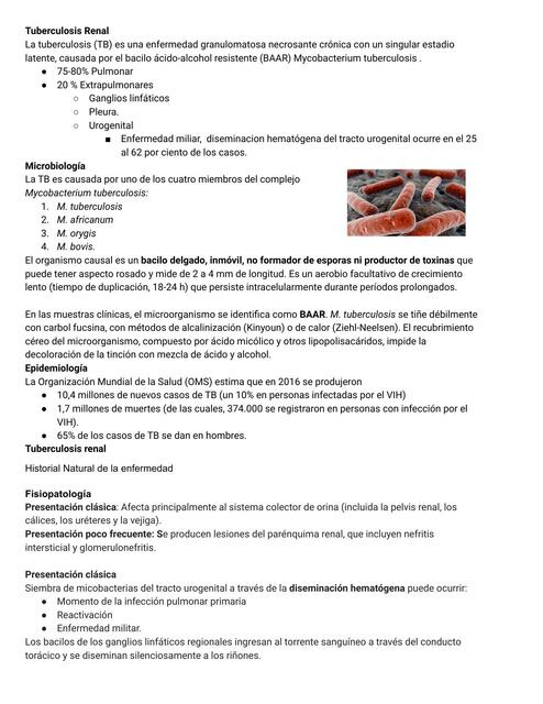 Tuberculosis Renal