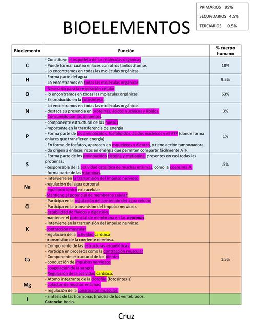 Bioelementos | Daniela Cruz | uDocz