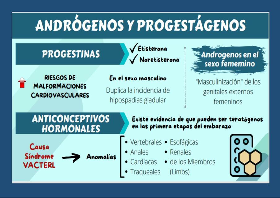 Andrógenos y Progestágenos