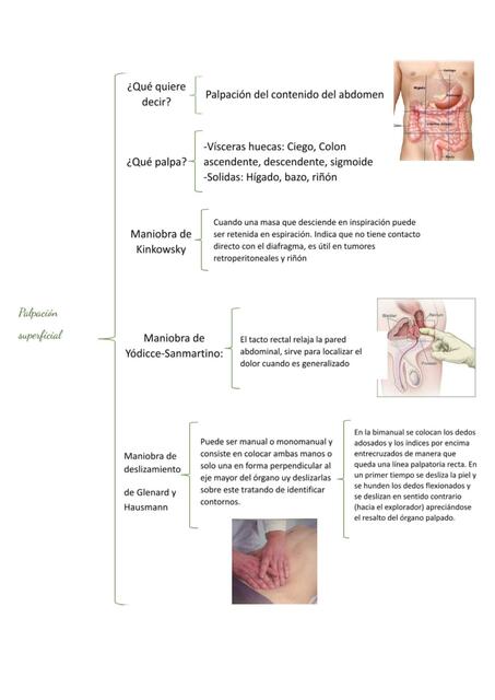 Palpación superficial y profunda