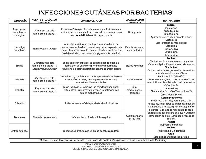 Infecciones Cutáneas por Bacterias