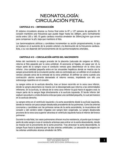 Neonatología Circulación Fetal