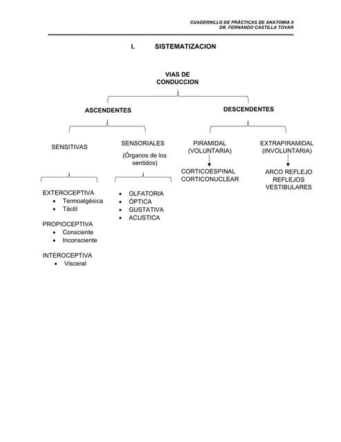 Sistematización