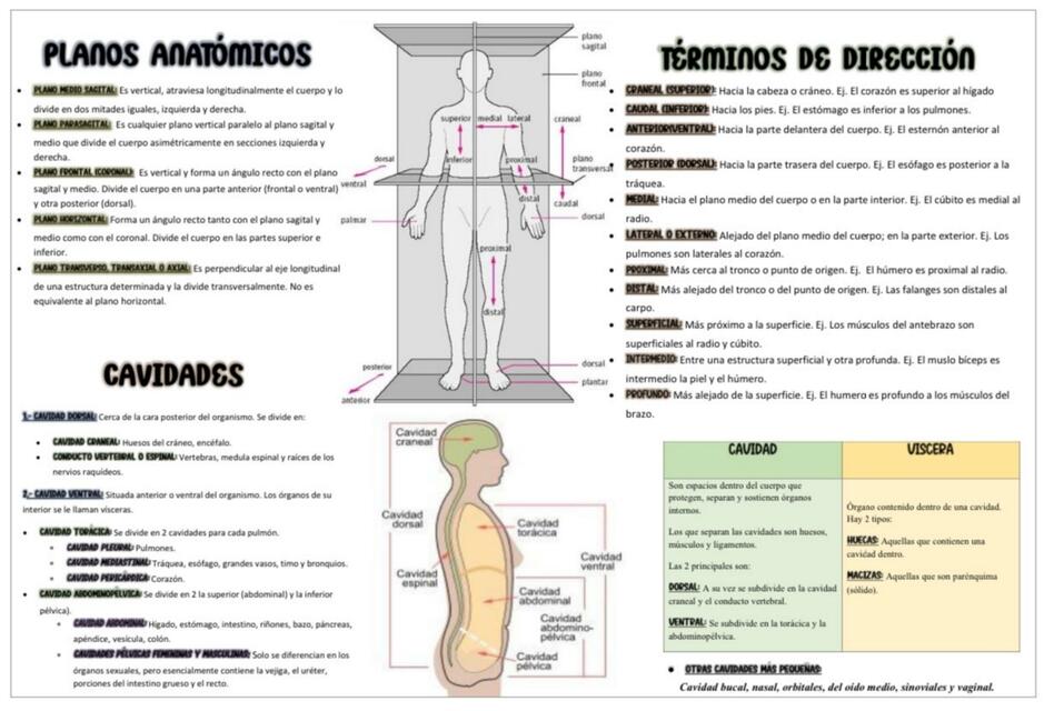 Planos y Cavidades Anatómicos