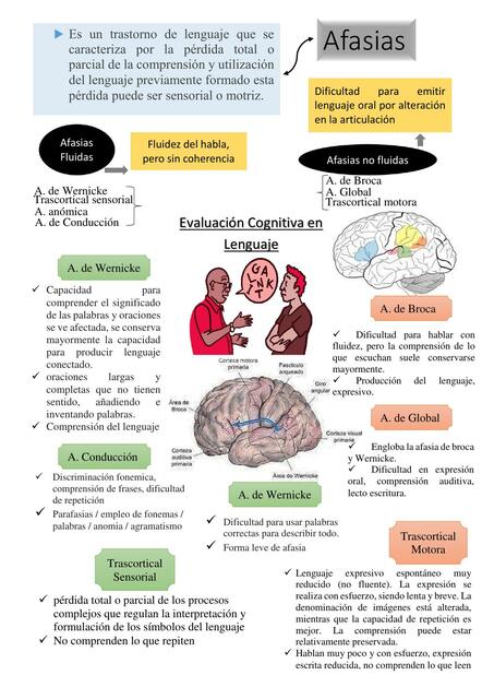 Evaluación Cognitiva en Lenguaje 