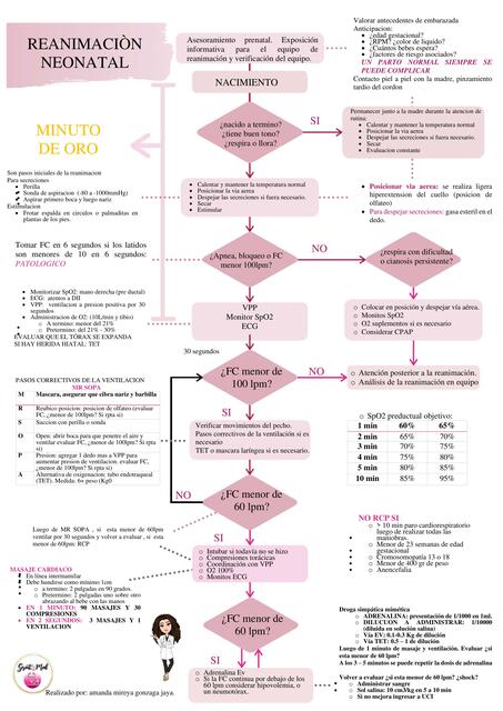 Reanimación Neonatal | MED_CORE _EC Mireya Gonzaga | uDocz