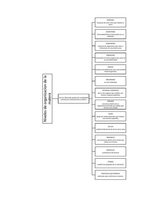 Niveles de organizacion de la Materia