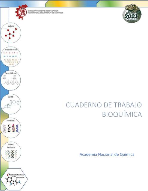 Cuaderno de Bioquímica 