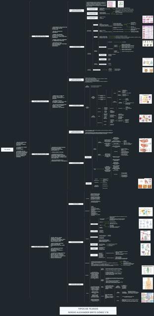 Tipos de Tejidos 