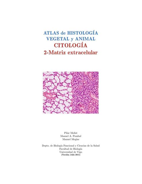 Matriz Extracelular