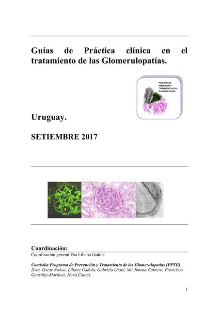 Guías de Practica Clínica para Tratamiento de las Glomerulopatías