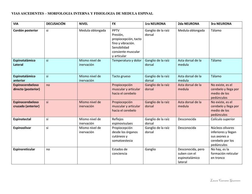 Vías Ascendentes