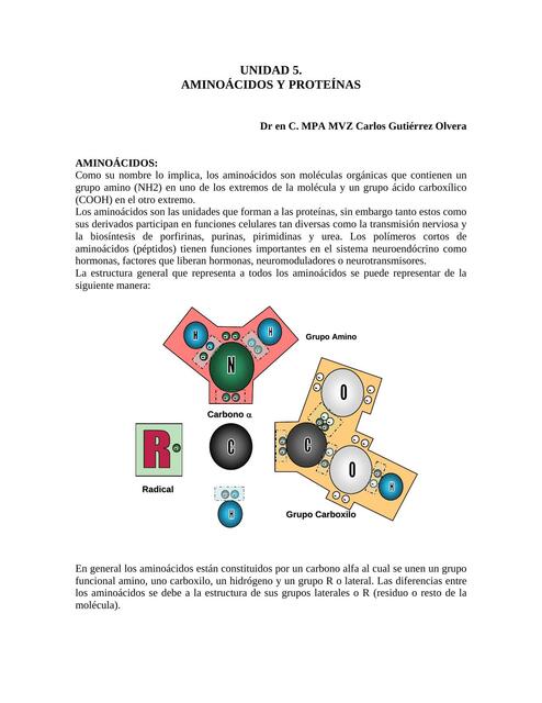 Aminoácidos y Proteínas 