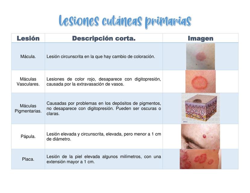 ANATOMIA PATOLOGICA UDocz