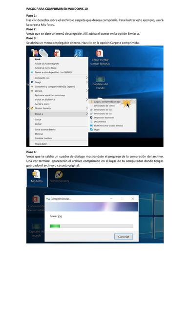 PASOS PARA COMPRIMIR EN WINDOWS 10