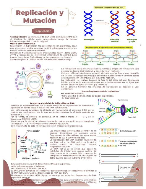  Replicación y Mutación