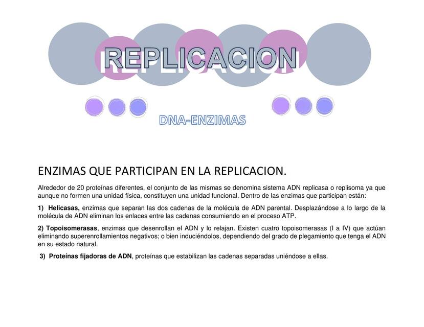 Enzimas de Replicación de ADN 