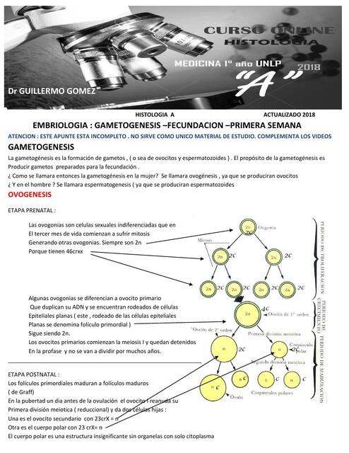 Embriología: Gametogénesis- Fecundación- Primera Semana 