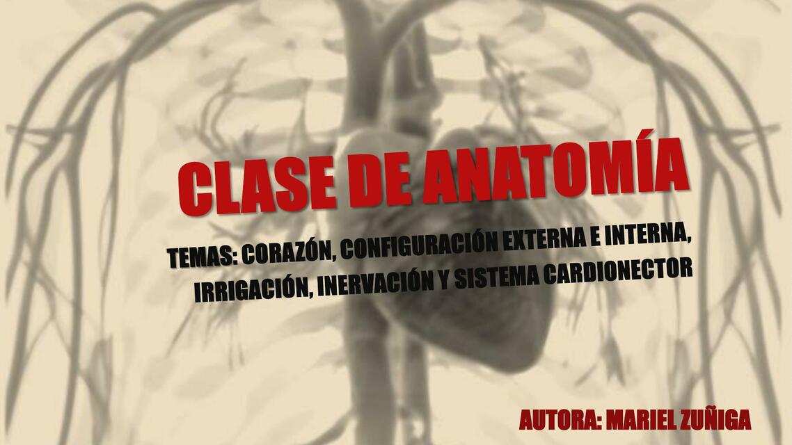 Clase Anatomía 