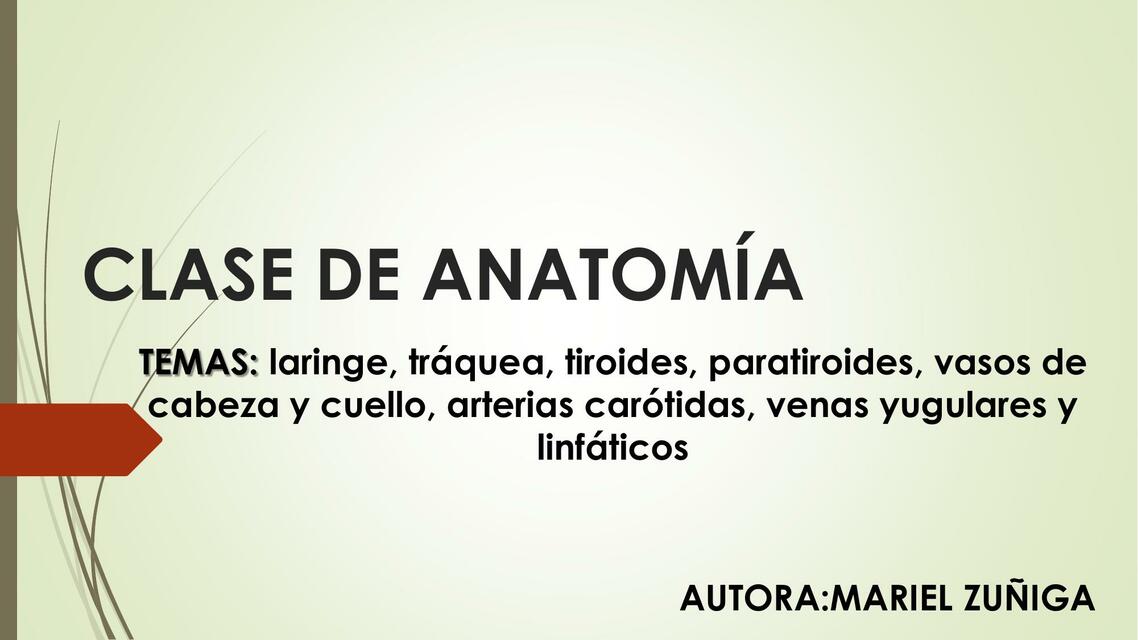 Clase de Anatomía