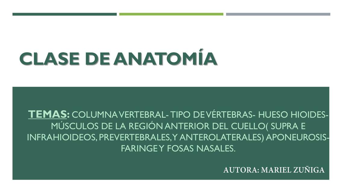 Columna Vertebral, Tipo de Vertebras, Hueso Hioides, Músculos de la Región Anterior del Cuello 