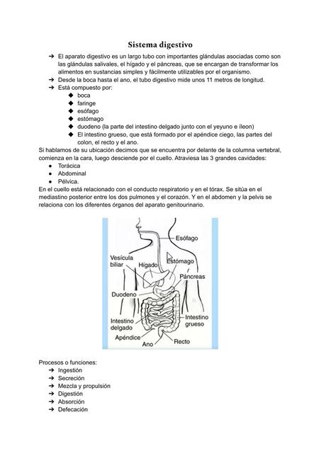 Necesidad de Nutrición