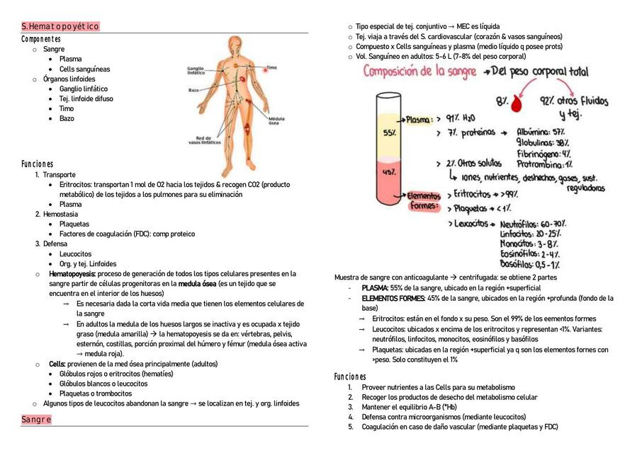 Composición de la Sangre y Plasma